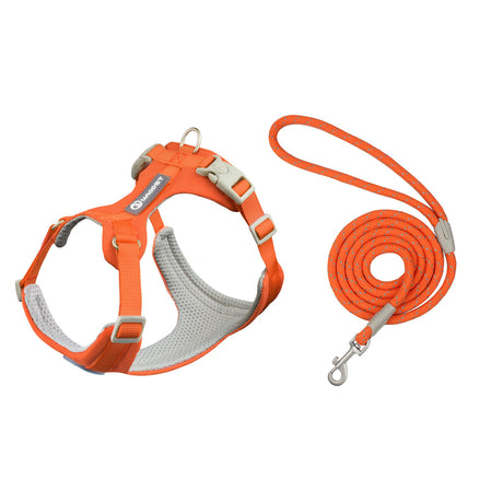 Whippet Anti-Slip Dog Harness Lightweight Dog Harness Breathable and Durable Adjustable Vest for Medium-Sized Dog Greyhounds - V.I.P Digital Presence
