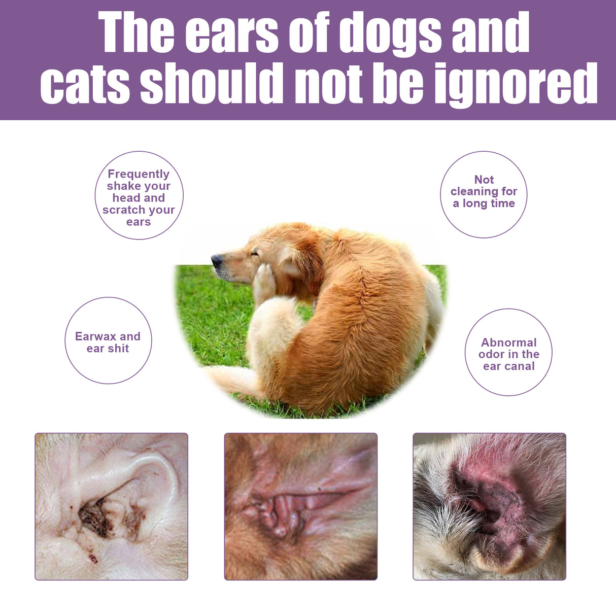 Pet Ear Cleaner, Cats And Dogs Relieves Ear Canal Odors Cleaning Earwax Ear Wash Drops - V.I.P Digital Presence
