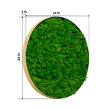Round Framed Moss Wall Decor, only the Large