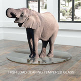36" Inch Round Tempered Glass Table Top Clear Glass 1/4" Inch Thick Flat Polished Edge - V.I.P Digital Presence