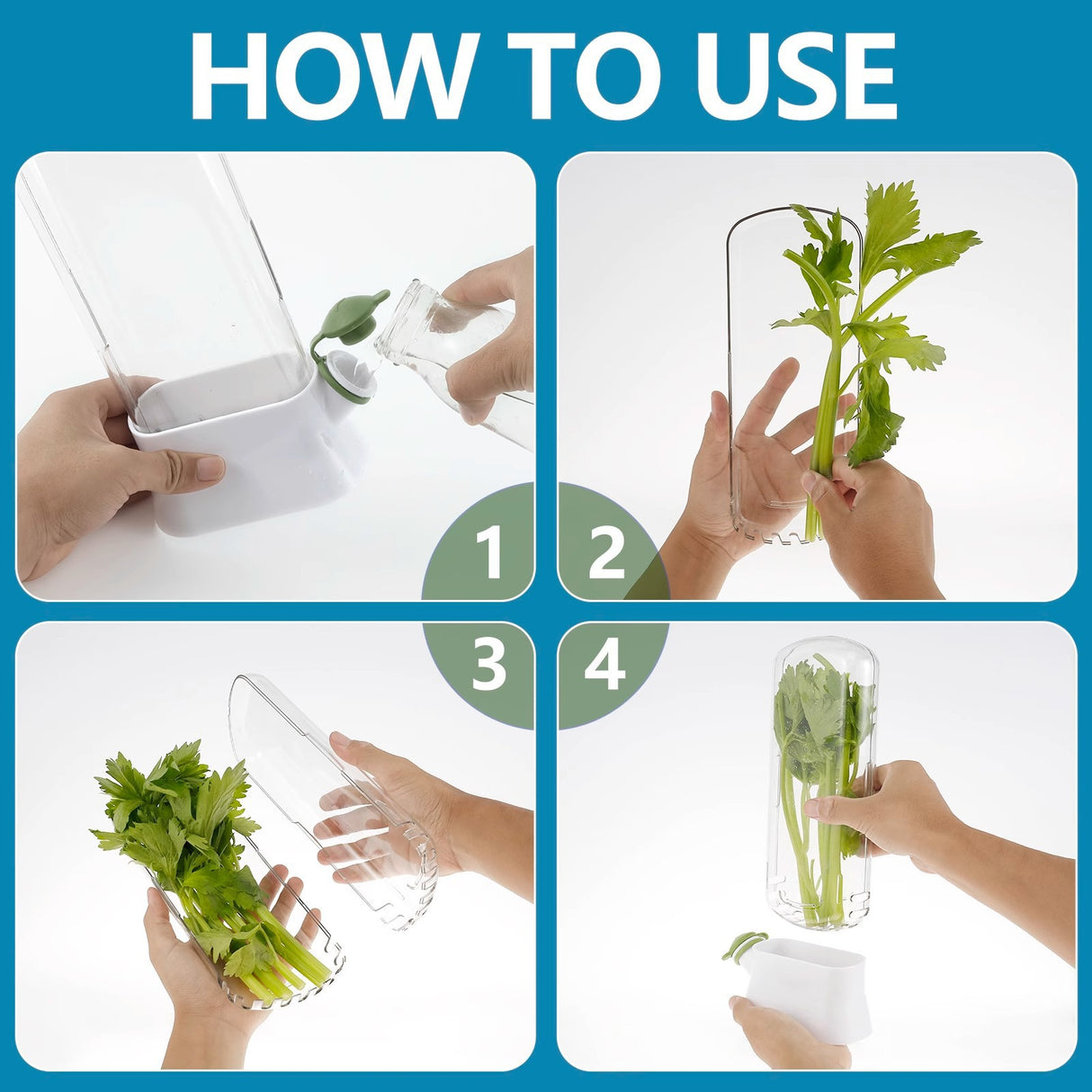 Vanilla vegetable fresh-keeping box pressure resistant fresh-keeping device creative fresh-keeping cup - V.I.P Digital Presence