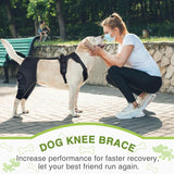 Pet Leg Support Dog Knee Brace Post-Surgery Rehabilitation Knee Support Joint Protection Bandage - V.I.P Digital Presence