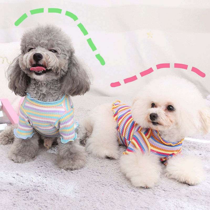Rainbow Undercoat Dog Clothes Pet Clothes Cat Bears VIP Pomeranian Schnauzer Small Dog Clothes - V.I.P Digital Presence