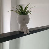 Cute Tree Elf Succulent Flower Pot Indoor Gardening Planter Decorative Wholesale Home Decor - V.I.P Digital Presence