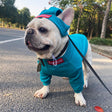 Pet Clothing Trendy Brand Street Dog Clothes Fighting Teddy Schnauzer Bottom Coat Hat Set - V.I.P Digital Presence