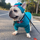 Pet Clothing Trendy Brand Street Dog Clothes Fighting Teddy Schnauzer Bottom Coat Hat Set - V.I.P Digital Presence