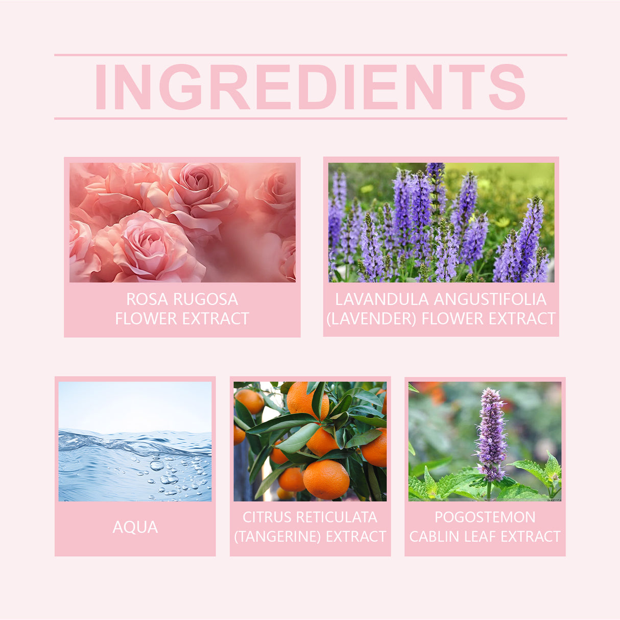 Pink Rose Fragrance Essential Oil, Mild Natural Fresh Fragrance Fragrance Portable Women's Eau De Toilette - V.I.P Digital Presence