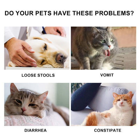 Pet Immune Oral Drops, Special Nutritional And Immune Health Drops For Cats And Dogs - V.I.P Digital Presence