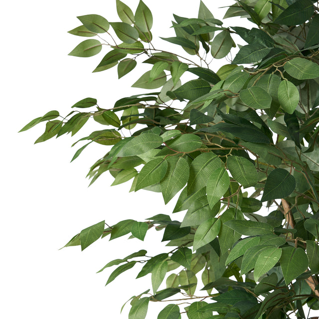 180CM ARTIFICIAL FICUS TREE - V.I.P Digital Presence