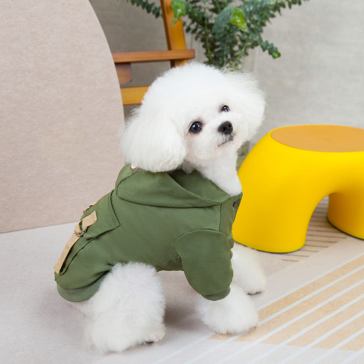 Pet clothes sweaters clothing for dogs teddy cats cool style two legged cotton clothes - V.I.P Digital Presence