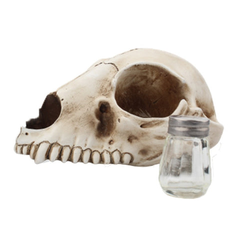 Cat Bone Base Seasoning Bottle Set Household Combination Glass Seasoning Jar Kitchen Storage Bottle - V.I.P Digital Presence