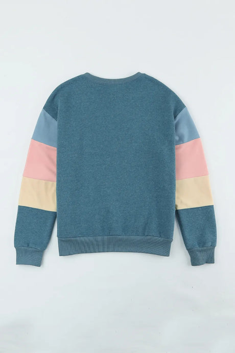 Color Block Round Neck Long Sleeve Sweatshirt - V.I.P Digital Presence