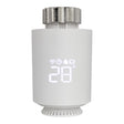 Intelligent radiator valve intelligent temperature control valve - V.I.P Digital Presence