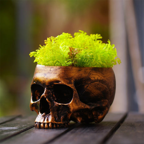 Bronze Skeleton Flower Pot Candy Storage Plate Makeup Brush - V.I.P Digital Presence