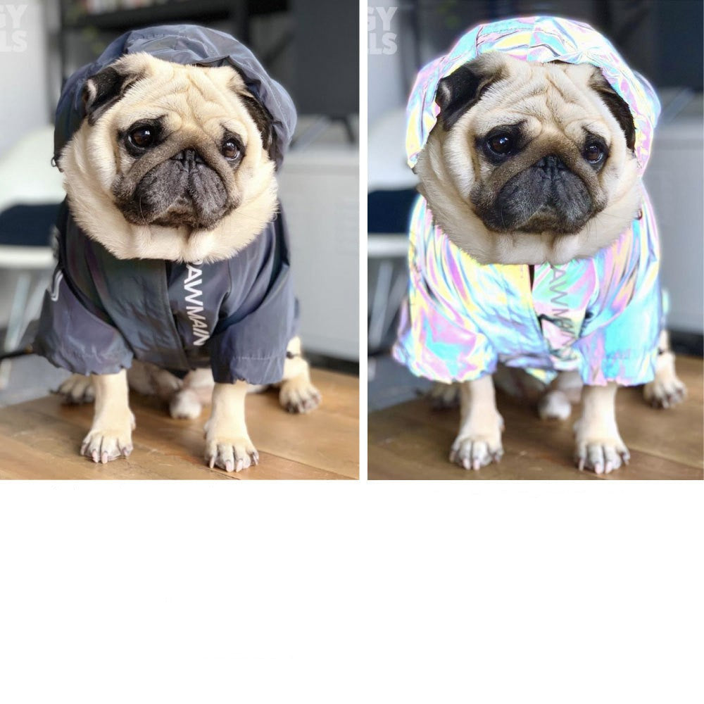 Windproof and Rainproof North Dog Face Dog Large Dog Raincoat Dog Pet Stormtrooper Coat - V.I.P Digital Presence