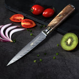 Damascus Shadow Wood Fruit Saury Bone Pattern Sharp Universal Knife Exquisite 5 Inch Paring Knife - V.I.P Digital Presence