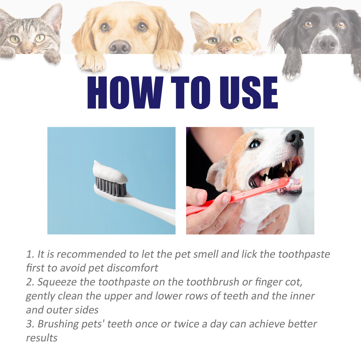 Pet V34 Toothpaste, Pet Clean Bad Breath Tartar Care Gum Care Toothpaste - V.I.P Digital Presence