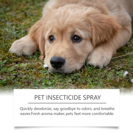 Pet Deodorant Spray, Cat And Dog Flea Liquid Deodorant Body Deodorant Spray - V.I.P Digital Presence