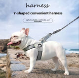 PawFit Dog Harness Leash