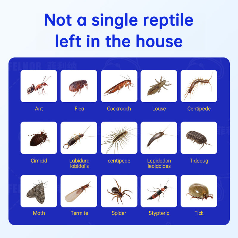 Household insecticide cockroach termite tick insecticide spray sewer flower insecticide insecticide - V.I.P Digital Presence
