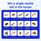 Household insecticide cockroach termite tick insecticide spray sewer flower insecticide insecticide - V.I.P Digital Presence