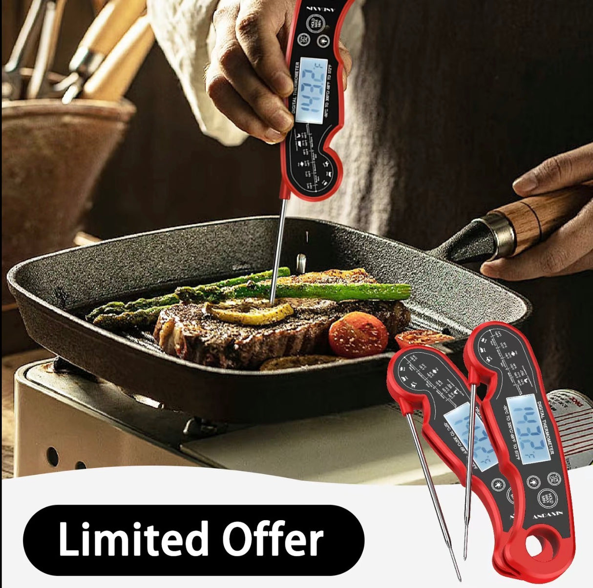 QuickTemp Thermometer