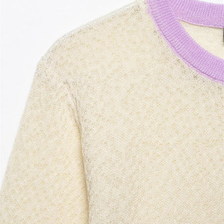 Spring New Style Round Neck Solid Color Loose Pullover Unique Charm Knitwear - V.I.P Digital Presence