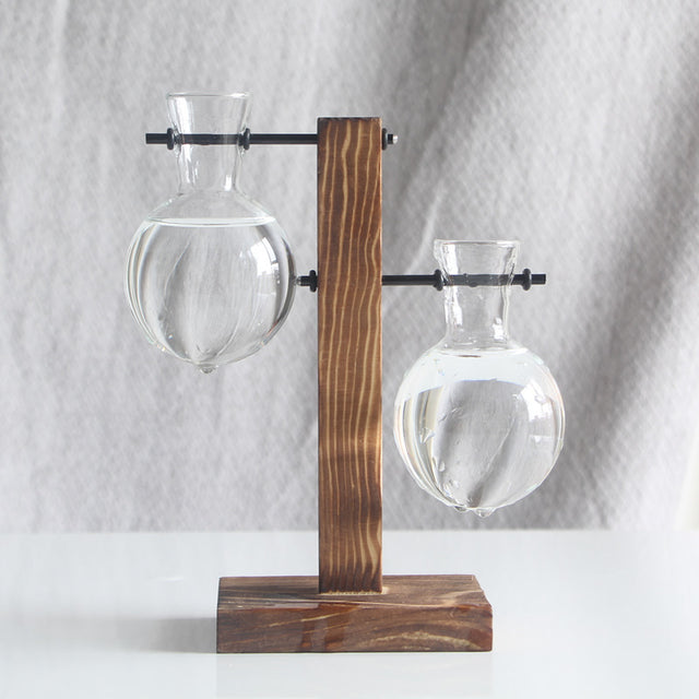 Transparent Bulb Vase with Wood Stand. For hydroponics. Great for coffee shops & room decor. - V.I.P Digital Presence