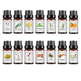 14 Piece Cross border Unilateral Essential Oil Set Box Unisex 14 Pack Body Set 10ml - V.I.P Digital Presence