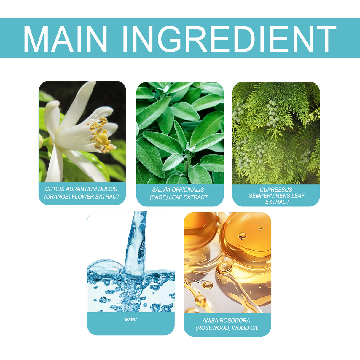 Charm Perfume Release Charm Mild Fresh Light Fragrance Niche Natural Portable Lasting Perfume - V.I.P Digital Presence