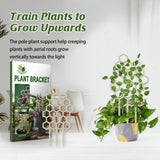 Garden Plant Trellis, Home Wooden Geometric Molding Decorative Support Flower Arrangements Climbing Pergola - V.I.P Digital Presence
