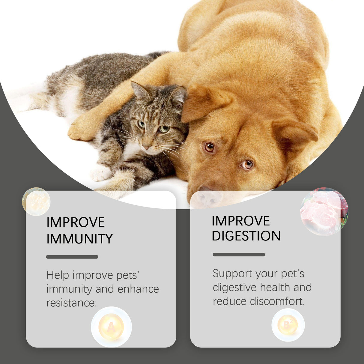Cats And Dogs General Compound Probiotic Tablets, Pets Absorb Nutrition Supplement Tablets Dog And Cat Nutrition - V.I.P Digital Presence