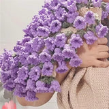 60cm New Creative Rose Bouquet Blanket (Finished), Crocheted Flower Bouquet Gift for Girlfriend - V.I.P Digital Presence