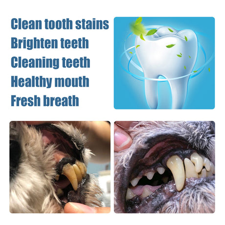 Pet Tooth Beauty Pen Dog Cat Cat Dog Pet tooth cleaning pen tartar stone cleaning tool - V.I.P Digital Presence