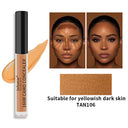 New Concealer Waterproof Non-Removal Concealer Liquid Concealer Cover Face Dark Circles Acne Marks Concealer - V.I.P Digital Presence