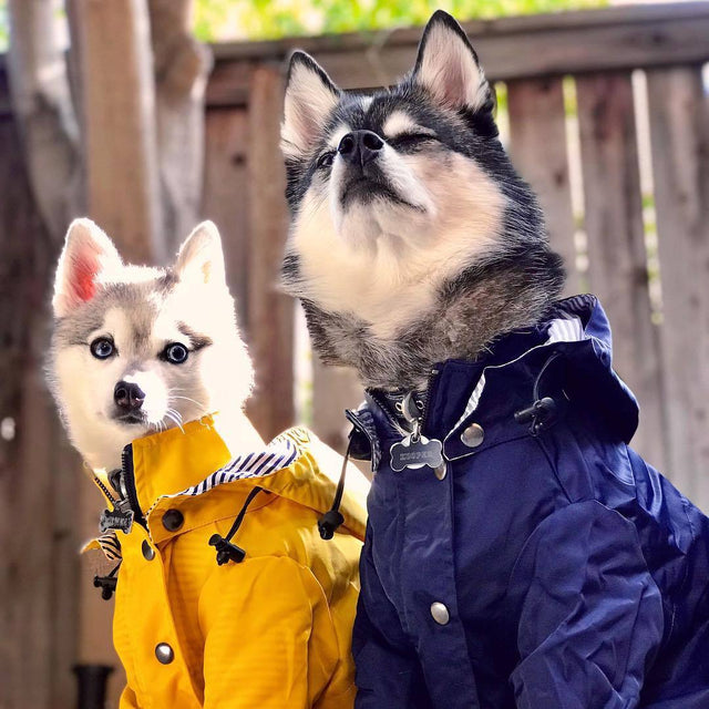 Windproof and rainproof British retro thick dog raincoat dog pet submachine jacket - V.I.P Digital Presence