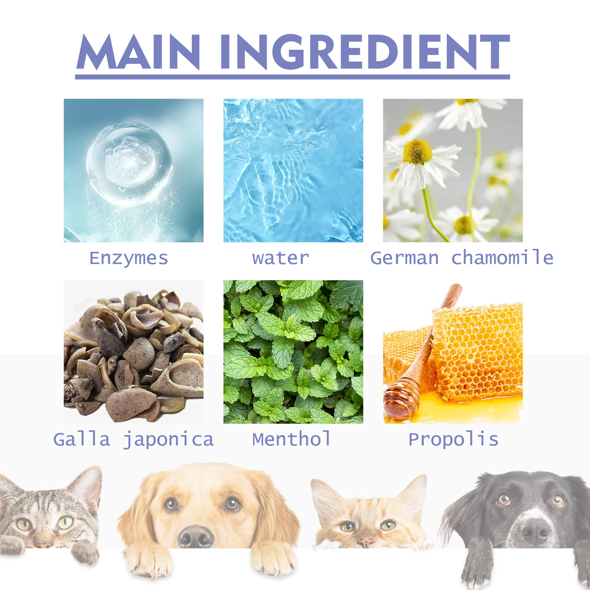 Tooth Cleaning Spray For Cats And Dogs, Remove Tooth Stains Fresh Breath Pets Oral Care Spray - V.I.P Digital Presence