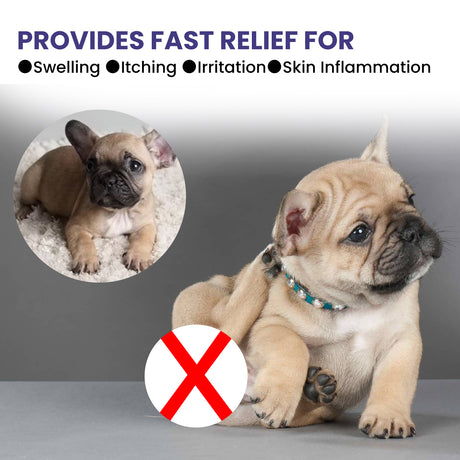 Pet Anti-Itch Spray, Pet Universal Cleaning And Soothing Skin Fur For Anti-Mite Anti-Bug Anti-Itch Spray - V.I.P Digital Presence