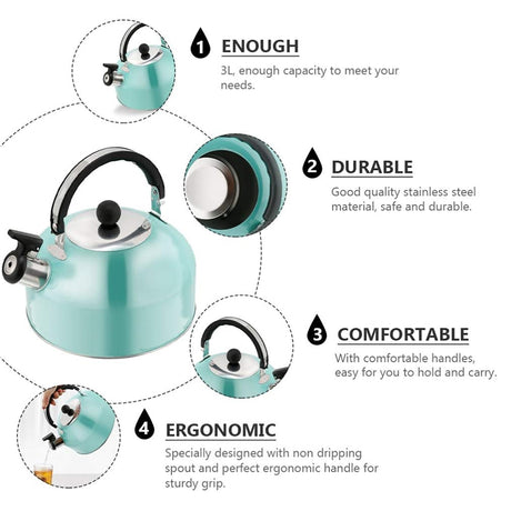 A 3L stainless - steel kettle for gas heating. It features a whistle and a comfortable handle, suitable for cooking and tea. - V.I.P Digital Presence