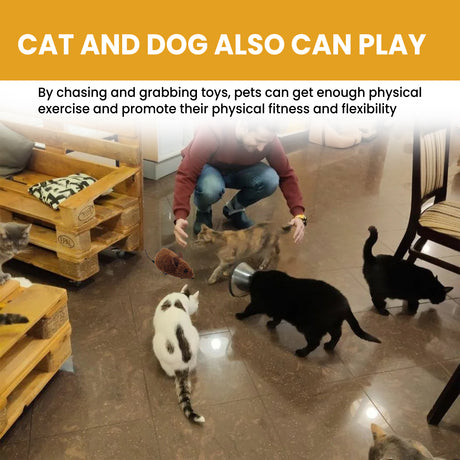 Interactive Smart Mouse Toy, Cats And Dogs Like A Mouse Sound Relief Plush Toy - V.I.P Digital Presence