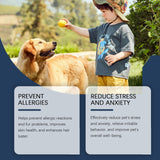 Food Supplement For Dogs, Immune-Boosting Healthy Dietary Supplement For Dogs - V.I.P Digital Presence