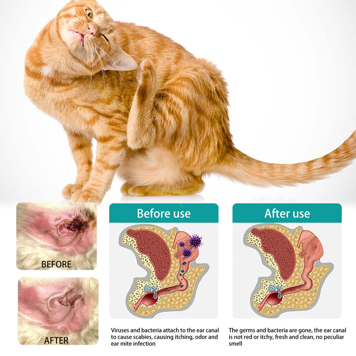 Pet Ear Cleaning Finger Sleeves for Cats and Dogs Ear Mite and Earwax Care Ear Canal Cleaning Finger Sleeves - V.I.P Digital Presence