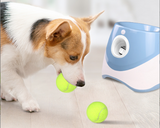 Durable Electric Interactive Throwing Training Dog Fetch Toy Thrower Machine Mini Tennis Automatic Dog Ball Launcher - V.I.P Digital Presence