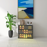 LED light shoe box three layers with glass doors - V.I.P Digital Presence