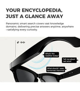 Bluetooth AI shooting glasses Bluetooth call voice assistant real-time translation 5-megapixel shooting stabilization - V.I.P Digital Presence
