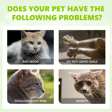 Catnip Spray, Relieve Cat Anxiety And Enhance Pet Vitality Health Care Spray - V.I.P Digital Presence