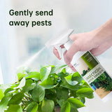 Insecticide flower plant insecticide flower aphids rose flower diseases and insect pests indoor flower spray insecticide water e - V.I.P Digital Presence