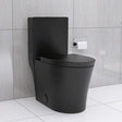 Matte Black Elongated One Piece Toilet Dual Flush 1.1/1.6 GPF Water Saving Map 1000g,Matte Black - V.I.P Digital Presence