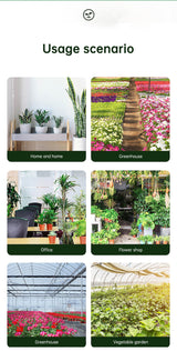 Insecticide flower plant insecticide flower aphids rose flower diseases and insect pests indoor flower spray insecticide water e - V.I.P Digital Presence