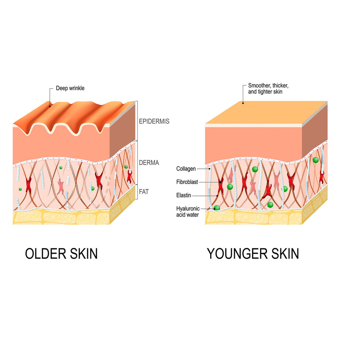 Deep Cleansing Anti-Wrinkle Serum, Facial Skin Smoothing Fine Lines Hydrating Firming And Care Serum - V.I.P Digital Presence